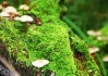 世界保龄球巡回赛城市站场馆设施智能化改造完成，保龄球世界锦标赛