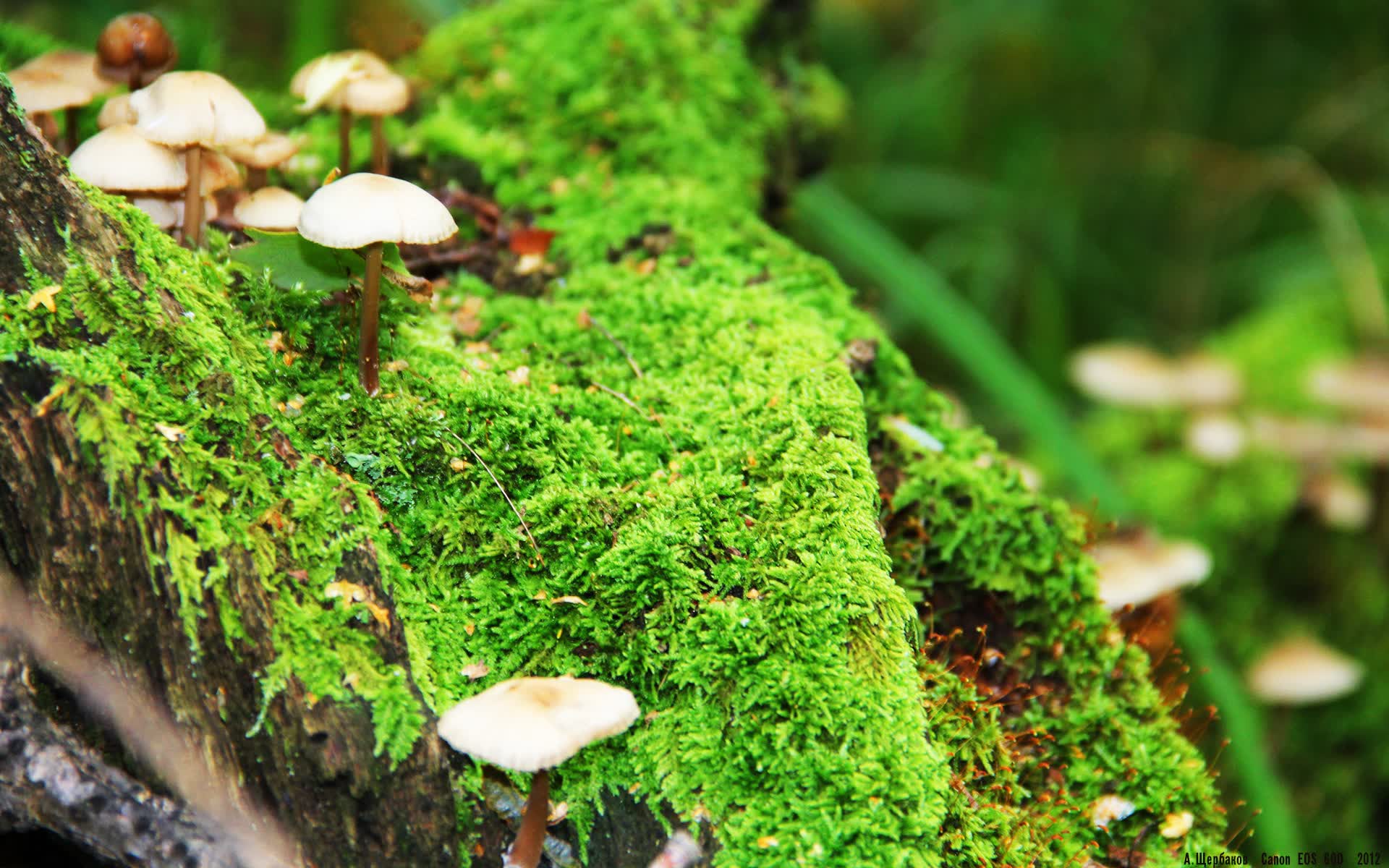 世界保龄球巡回赛城市站场馆设施智能化改造完成，保龄球世界锦标赛